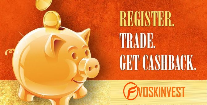 Max Income Cashback program